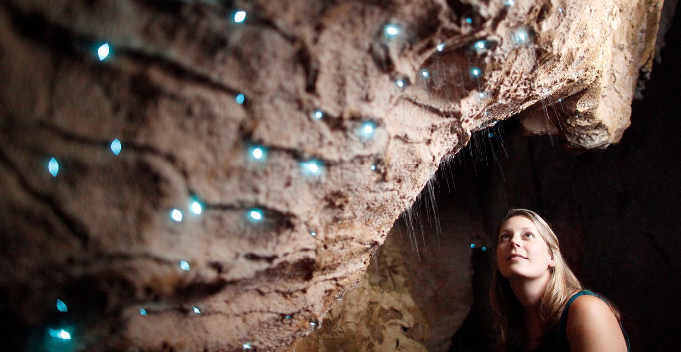 Waitomo Glowworm Caves